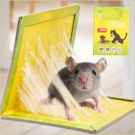 捕鼠粘鼠板  家用老鼠笼沾胶夹药抓捉大老鼠贴驱粘合力强量大优惠