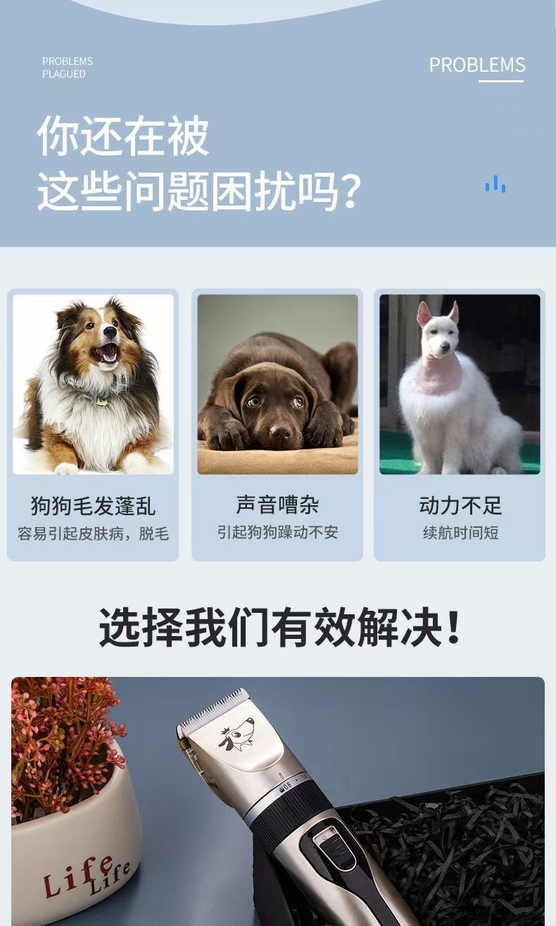 c36e2ca7-df20-4c3f-ad99-0ab4f634cd1b.jpe