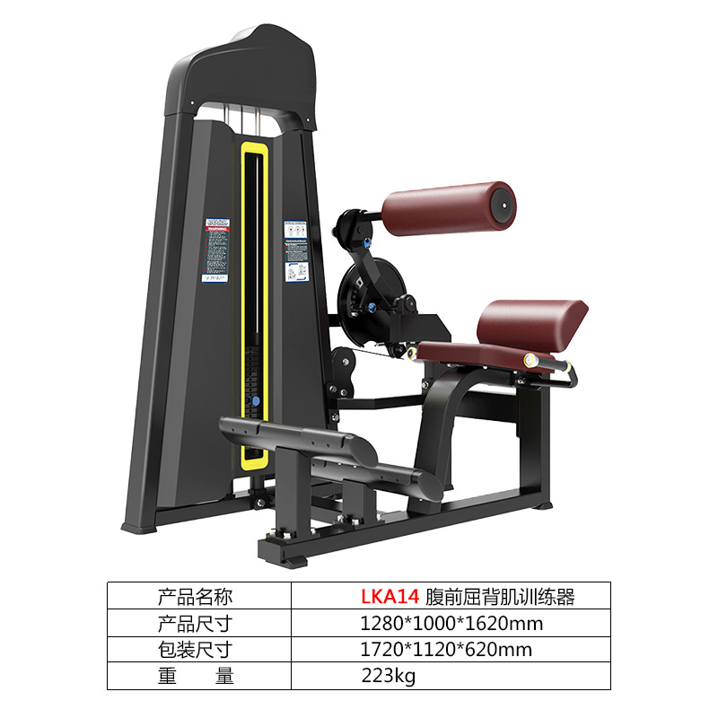 El entrenador abdominal trasero gimnasio comercial debe insertar equipo de fitness de fuerza multicolor suministro directo de fábrica