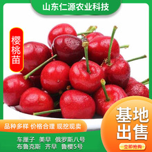 ������ɽ�| �m���ϱ����Nֲ���_˹��̖����Ҙ���܇���ә�����