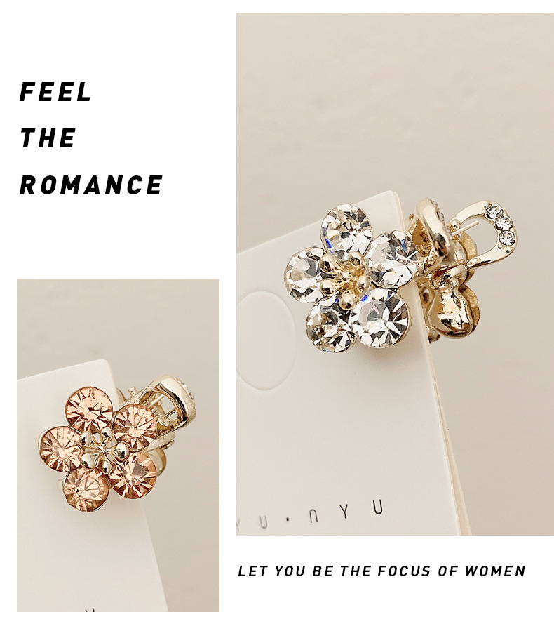 Small Bangs Grab Clip 2022 New Crystal Flower Side Hairpin Korean Internet Celebrity Mini Elegant Grab Hair Accessories_voghion.com