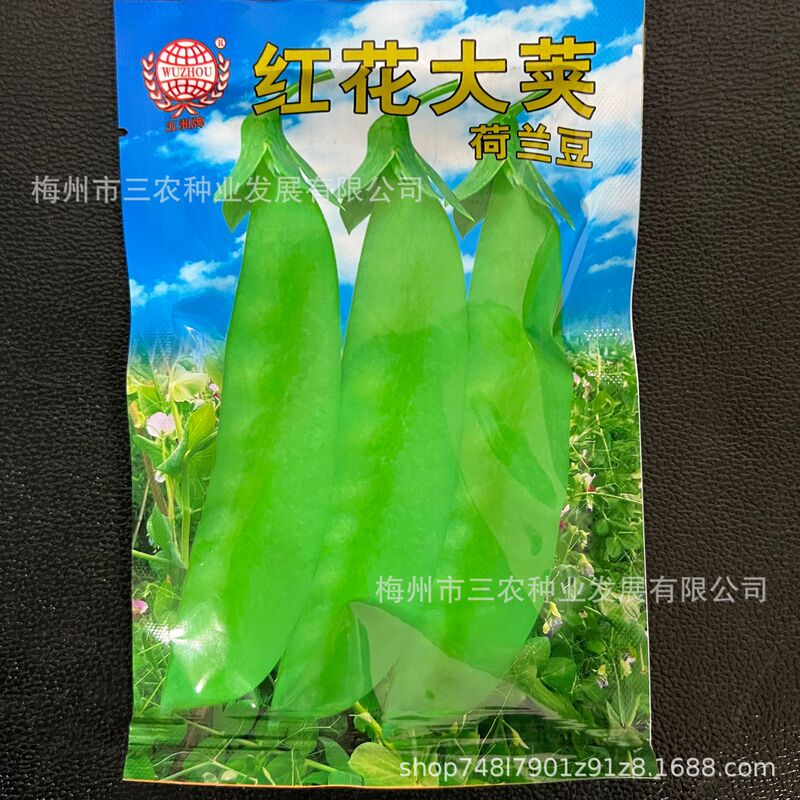 Wuzhou Brand Safflower Large Pod Sugar Peas Sweet Peas Garden Planting High-Yield Disease-Resistant Four-Season Vegetable Seeds Manufacturer Batch