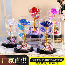 七夕节情人节精美礼物 金箔玫瑰花礼品 永生花玻璃灯罩创意摆件