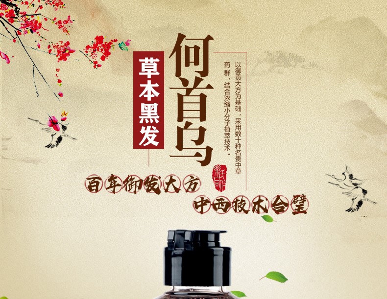 10537691177_156024510