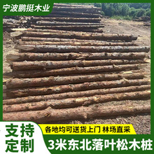 3ז|~ľ ӵBľ @־^ԭľѴľ