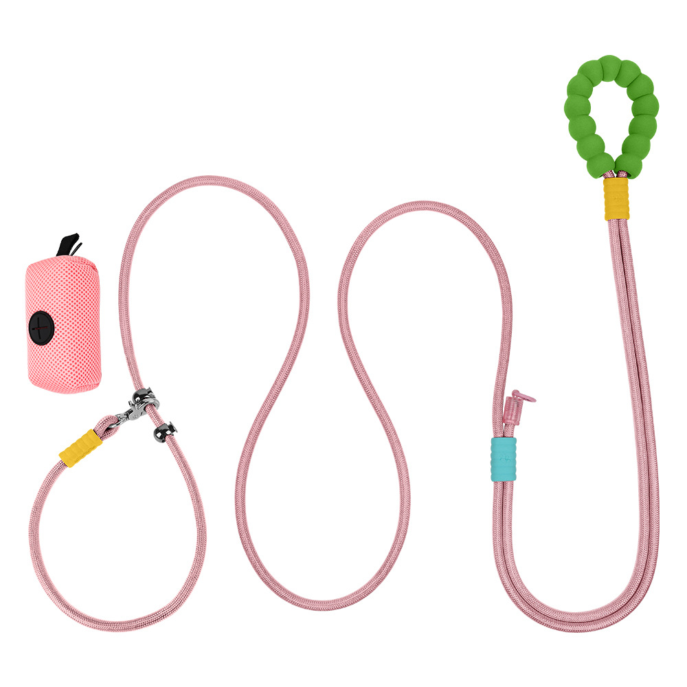 핑크 컬러풀 + 강아지 가방