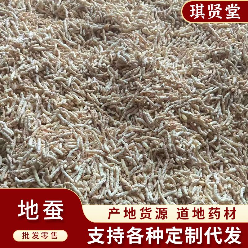 中药材 草石蚕 地蚕 白虫草 土冬虫草 大货批发 量大从优