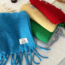 新款韩国东大门秋冬颗粒感时尚纯色氛围感流苏围巾女加厚保暖围脖