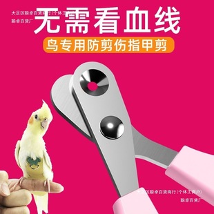 צ��ĥ�W�^ָ�׼�ָ�׵�ָ���B��ָ�׼��B����ĥ�Bצ�����Q