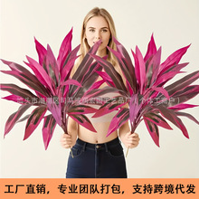 �羳�����������ľ��Ѫ��Gֲ�҃��쾰ֲ��廨��ķ����~���l