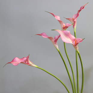 ���滨�p�~�R�㺣��ܛ�b�Ӱ��g��ˇ�̄ջ�ˇ�zӰ��������������ˇ