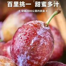 ������÷���rˮ���b���m���������r��÷���������ͶY