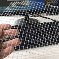 厂家批发鱼缸隐形防跳网隔离网片 PP塑料双向拉伸网 养殖防鸟网