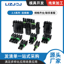 1.2.3.4.6孔德尔福型2.5汽车防水连接器单双排12015791 12010996