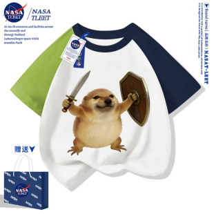 NASA���ҵĵ��ܹ���Ц�ރ�ͯӡ������T����Ůͯ���������e����