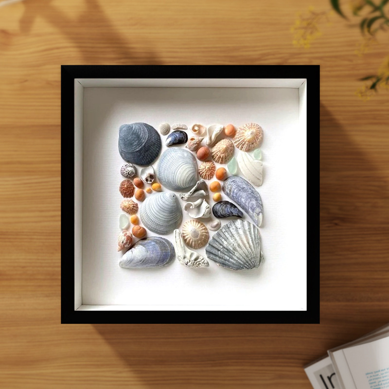 DIY Manual Photo Frame Specimen Frame for Shells, Stones, Plants, Display Frame Without Materials DIY Manual Photo Frame Specimen Frame for Shells, Stones, Plants, Display Frame Without Materials