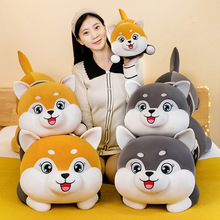 �S��ֱ�Nſ��O��ë�q���ſſ�ܹ�����ż���ރ�ͯ�L�������l