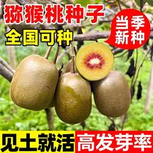 �J���ҷN�ӫJ���Ҙ���N�Ӽt�īJ����������t�J�����殐���N����