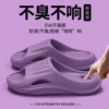 Purple【Limited time promotion】