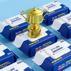 75% alcohol wet wipes bulk wholesale 80-packs disinfectant wet wipes disposable hygiene cleaning alcohol disinfection wet paper