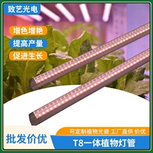 ����ȫ���VT8һ�wֲ�����IP65��ˮ�t�{������������L�a���ӆ��