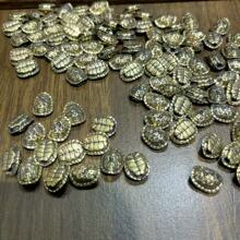 �S�~����һ��ɢ�������������������diy�Ʒ