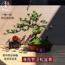 _hɘ䘶辰ֲ̨҃ﻨܾGֲԺutѿlؔؔ