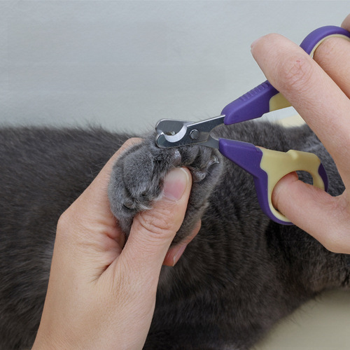Pet Nail Clipper Cat and Dog Nail Scissors Nail Nipper Nail Cutter Pet Supplies Nail Clipper Wholesale