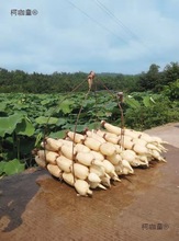 \ˮźNɏźNźˮźN ߮aʳɏźN źź̫