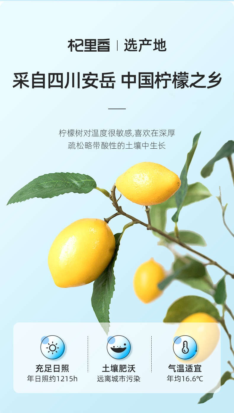 Freeze Dried Lemon Slices 100g Individually Packed Ningxia Lemon Tea key features
