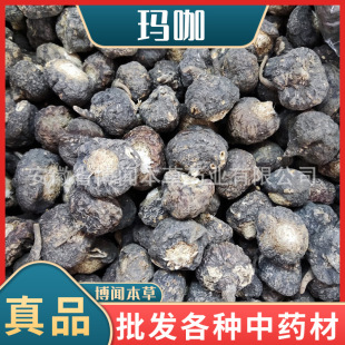 ��Ϻڬ����ɹ� ���l��؛�a�����l����Ƭ�S���� ����r�����l