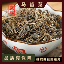 批发中药材马齿苋500g 马齿菜 马苋菜 瓜子菜 长寿菜 现货批发