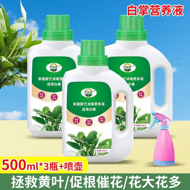 Special nutrient solution for white palms 500ml*3 bottles + watering can