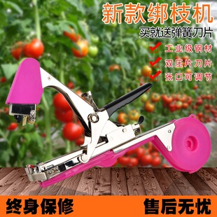 ��֦���S�����t�����ѷ��ѽ�֦�C�z����ӽ����������C�����C��֦