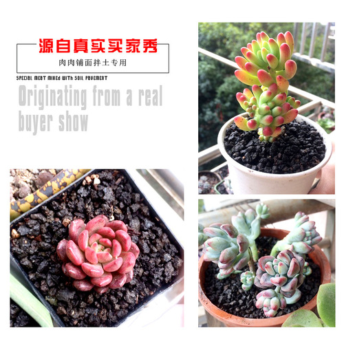 Manufacturer wholesale black volcanic stone particles for meat paving mixed with soil orchid fish tank landscaping volcanic rock for filtration