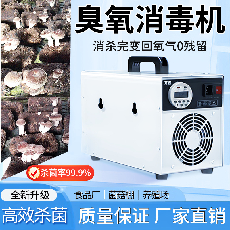 Fenrui Ozone Disinfection Machine Generator Home Decoration Formaldehyde Removal Food Factory Small Air Sterilization Purifier