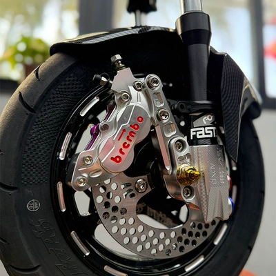 damping system Front Wheel Set, Front
