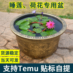 養荷の植木鉢の睡蓮の鉢は厚いプラスチックの特大サイズのレンコンの銅銭の草の碗の蓮の鉢の養魚の水槽の大きい植木鉢を厚くします。