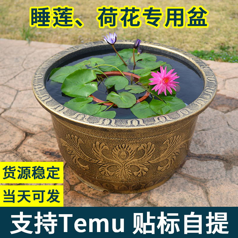 养荷花盆睡莲盆加厚塑料特大号莲藕铜钱草碗莲盆养鱼缸水缸大花盆