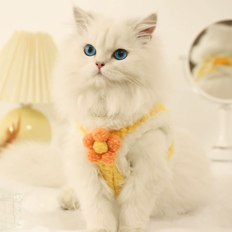 Кошачий поводок, нагрудный ремень, жилет с защитой от взлома, кошачья веревка, кошачий поводок, цепочка для домашних животных