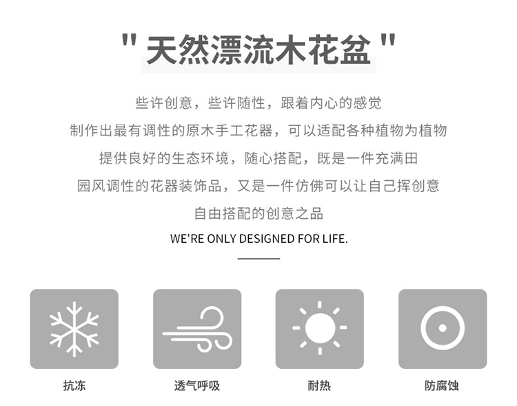 北欧漂流木花盆_02.jpg