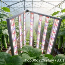 LEDֲ�����L��ȫ���V��̫ꖹ⹝���m�ùϹ��߲˷Nֲֲ���a���