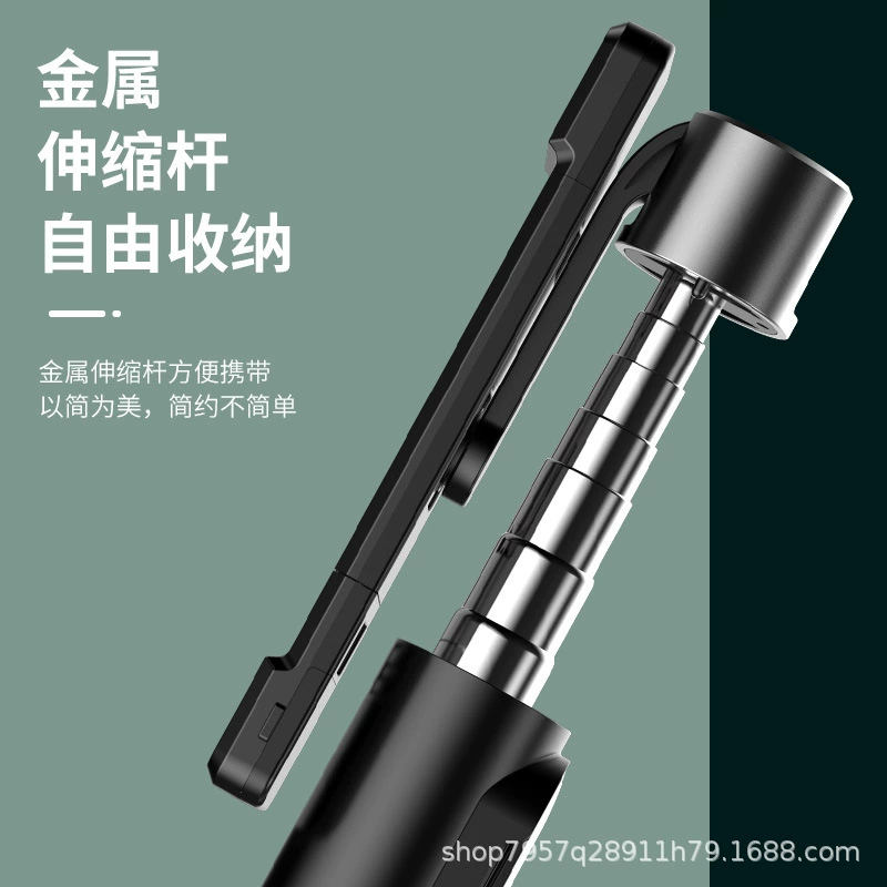 Travel fill light, handheld tripod, tubing, P60, bluetooth, remote control