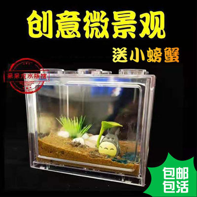Pepper Watch Crab Raise Package originality Scenery festival transparent ecology fish tank