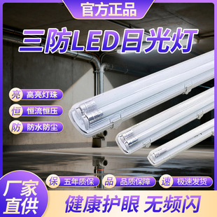 led������t8���p��ȫ�׷��x�����L�l֧�ܟ�1.2�׷�ˮ�����չ����
