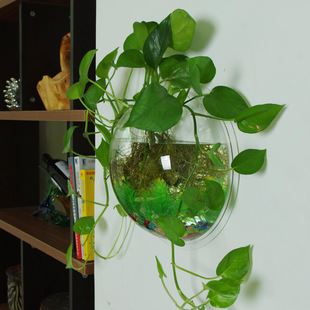 Wall-Mounted Flower Pot Hydroponic Wall-Mounted Fish Tank Creative Wall Decoration Living Room Dining Room Bedroom Wall Wall Zhao Zhiwu