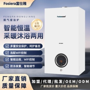 Directly Supplied from the Source, Gas Wall-Mounted Boilers Are Energy-Saving and Gas-Efficient, Dual-Purpose for Home Heating and Hot Water, Commercial Gas-Saving Heating Boilers