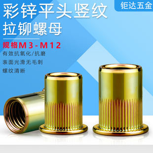 ���\���T��ĸM3-M12ƽ�^�Q�y�T��ĸ ̼䓲��\��ñ�L����ĸ
