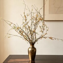 禅意南蛇藤果枝干花干枝花材南陀藤原生态枝条山归来家居插花装饰