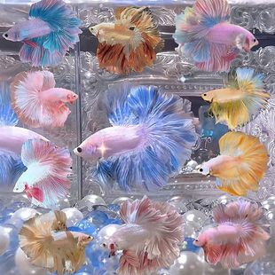 ̩���^�p�~��Ů�۰׻鼆β���˾W�t����Ꭷ�~�ͻ���B�����ֱ�l